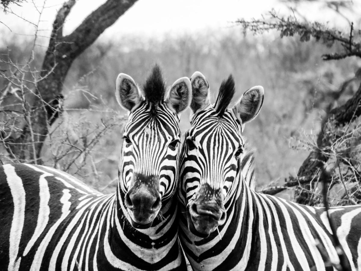 African Spirit Game Lodge Mkuze Екстер'єр фото